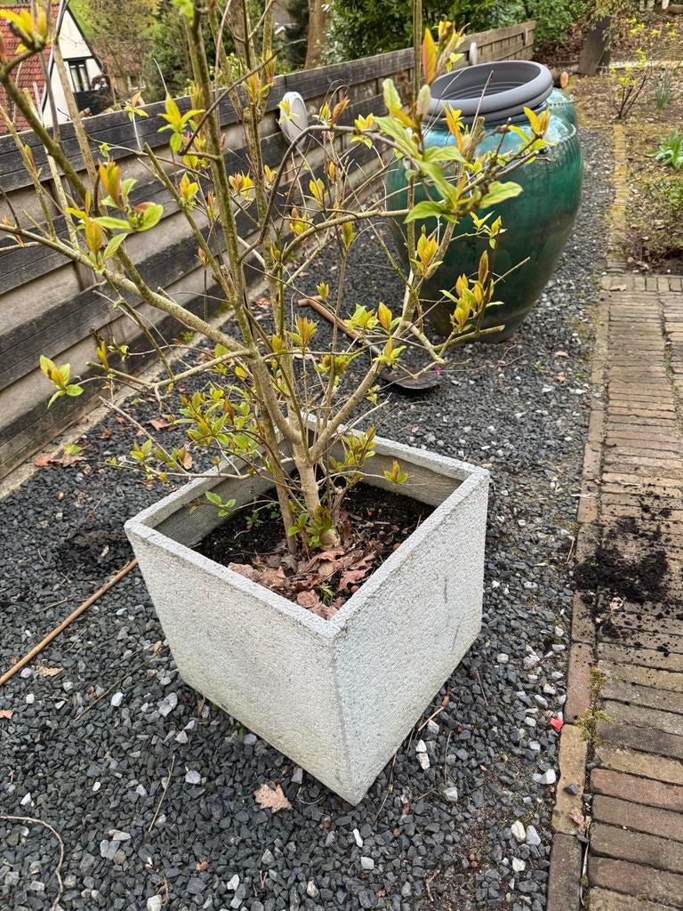 Bloempotten voor buiten., Tuin en Terras, Bloempotten, Gebruikt, Minder dan 40 cm, Beton, Ophalen