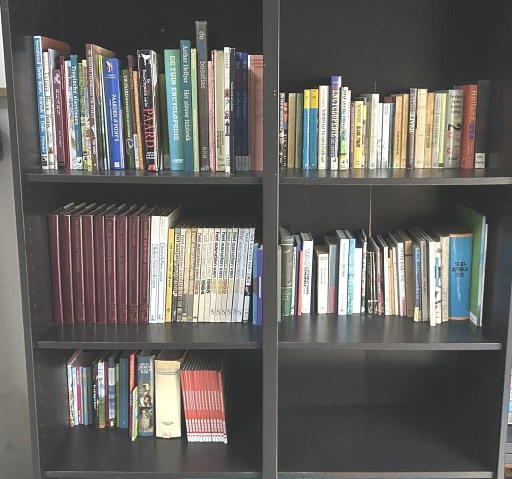 Partij van ongeveer 150 boeken te koop, Ophalen, Gelezen