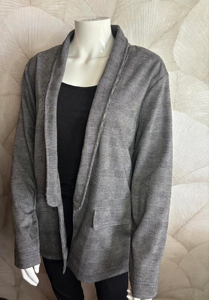 Jazlyn blazer ruit - Maat XXL, Kleding | Dames, Verzenden, Maat 46/48 (XL) of groter, Zo goed als nieuw, Jasje