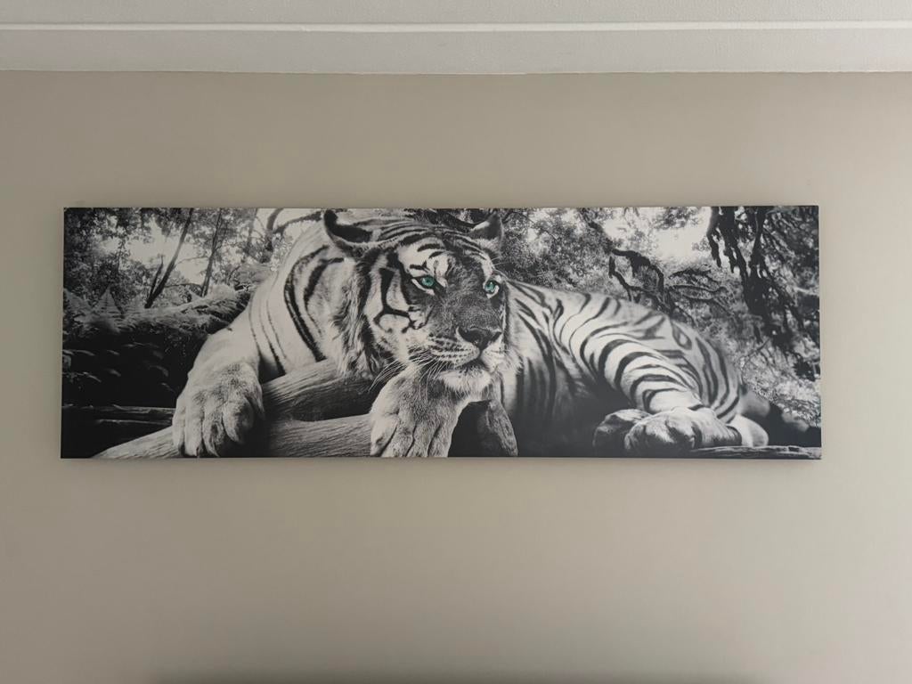 Schilderij tijger, Antiek en Kunst, Ophalen