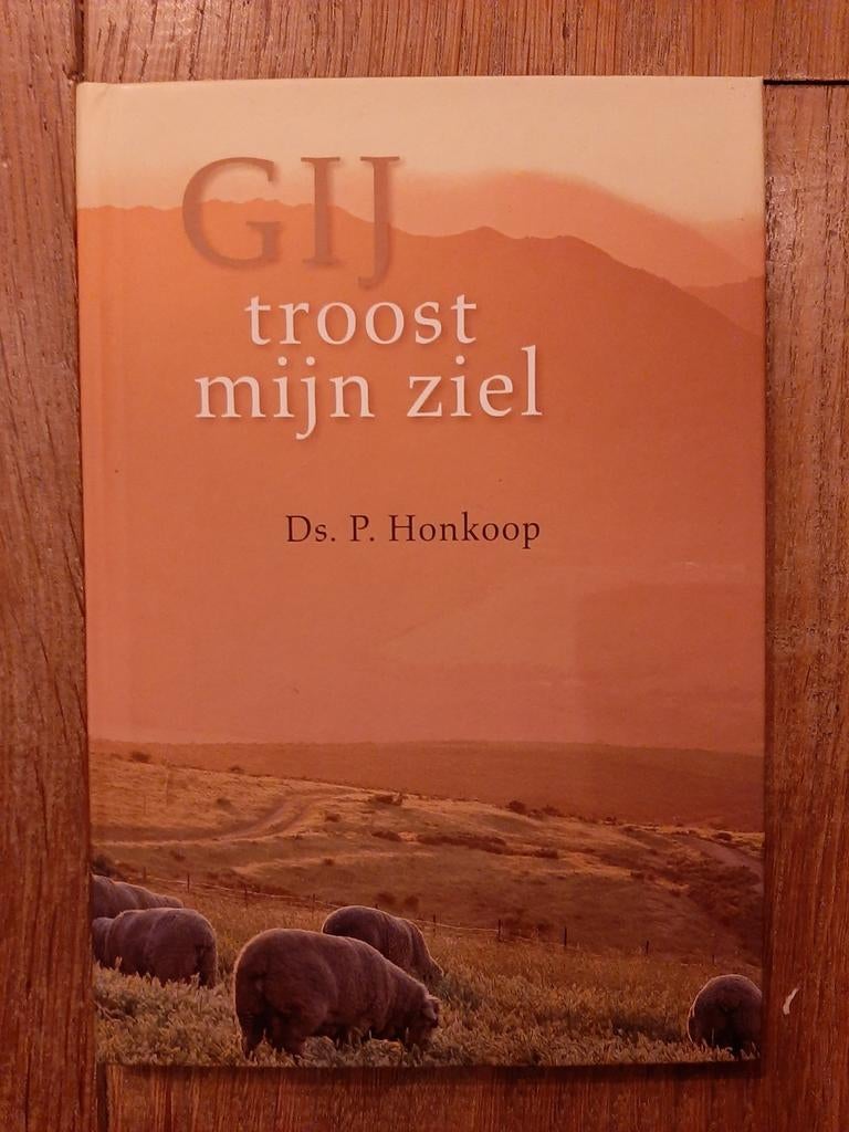 Gij troost mijn ziel - Ds. P. Honkoop, Boeken, Ophalen of Verzenden, Zo goed als nieuw, Ds. P. Honkoop, Christendom | Katholiek