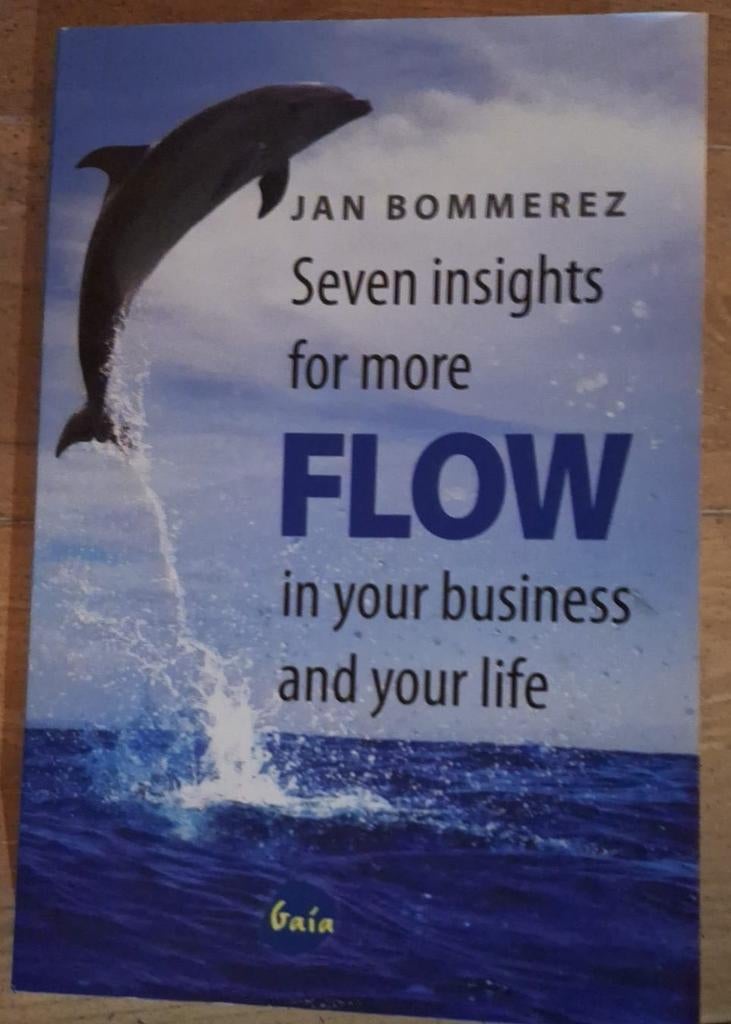 Seven Insights for More Flow - Jan Bommerez, Ophalen of Verzenden, Gelezen, Jan Bommerez