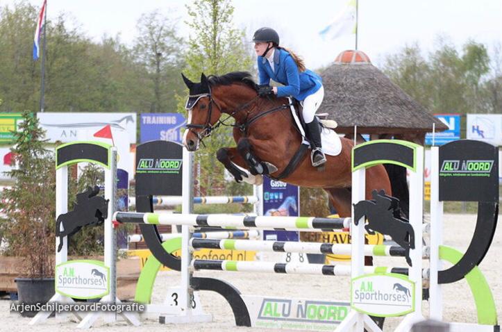 Amazone voor trainen, beleren, corrigeren (ZZP) + stal vrij, Ruiter of Bijrijder