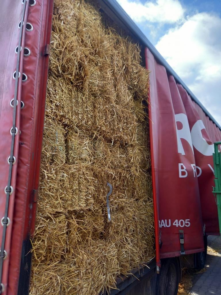 Te koop kleine balen stro, Ophalen of Verzenden, Vee