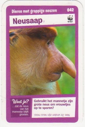 Super dieren no.42 Neusaap [2697]  [VeOvSu], Verzamelen, Supermarktacties, Albert Heijn, Ophalen of Verzenden