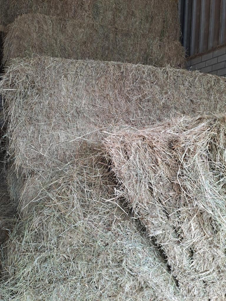 Paardenhooi te koop met en zonder folie, Zakelijke goederen, Agrarisch | Veevoer, Ophalen of Verzenden