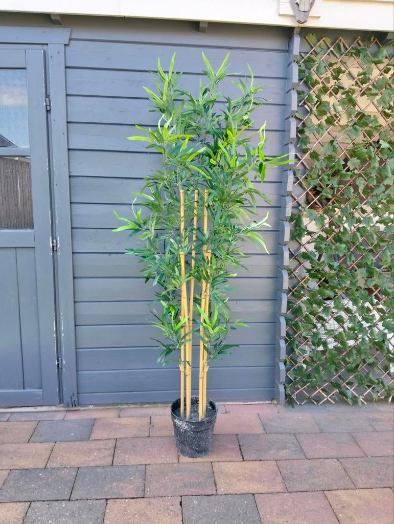 Bamboe plant van ikea, Huis en Inrichting, Woonaccessoires | Kunstplanten en Kunstbloemen, Ophalen