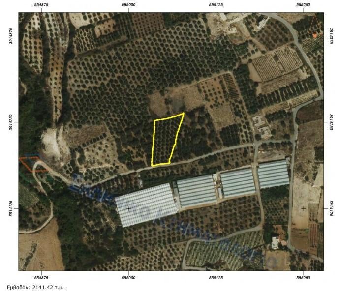 Olijfgaard op Kreta - perceel, Ophalen