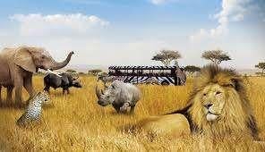 Beekse Bergen 30% korting per persoon, Drie personen of meer, Kortingskaart