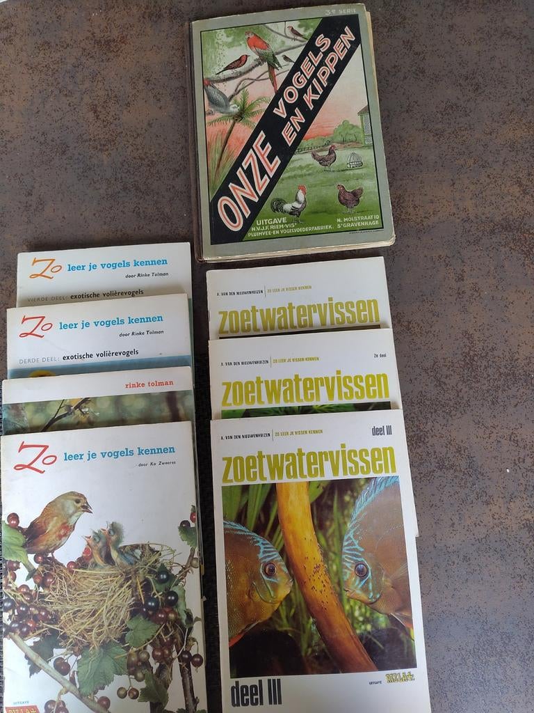 Rizla albums, Ophalen of Verzenden, Gelezen