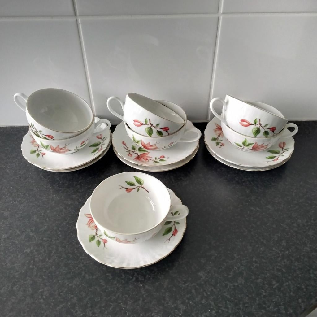 7 winterling marktleuthen  kop en schotels met magnolia, Ophalen of Verzenden, Zo goed als nieuw, Overige stijlen, Kop(pen) en/of Schotel(s)