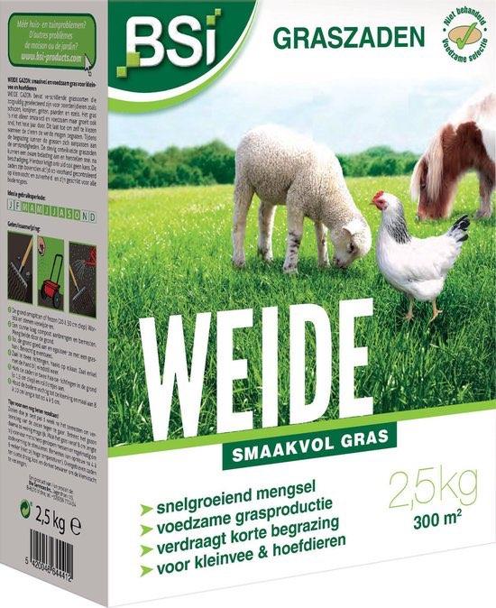 Graszaad Weide Voedzaam en Smaakvol - 2,5 kg voor 300 m², Verzenden, Nieuw, 20 m² of meer