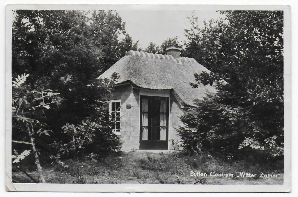 Assen Witterzomer Gelopen Ansichtkaart ( B6733), Ophalen of Verzenden, 1960 tot 1980, Gelopen, Drenthe