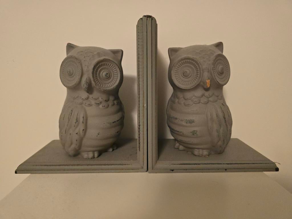 Grijze massief houten boekensteunen uil, Ophalen of Verzenden