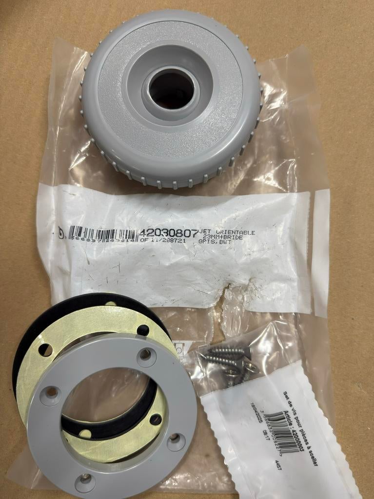 BWT 42030807 inspuiter compleet + extra kop, Ophalen of Verzenden, Nieuw, Overige typen