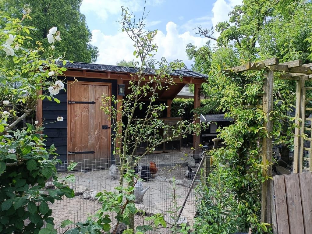 Vakantie opvang voor konijnen, cavia's,  hamsters en kippen, Meerdere dieren, Dwerg