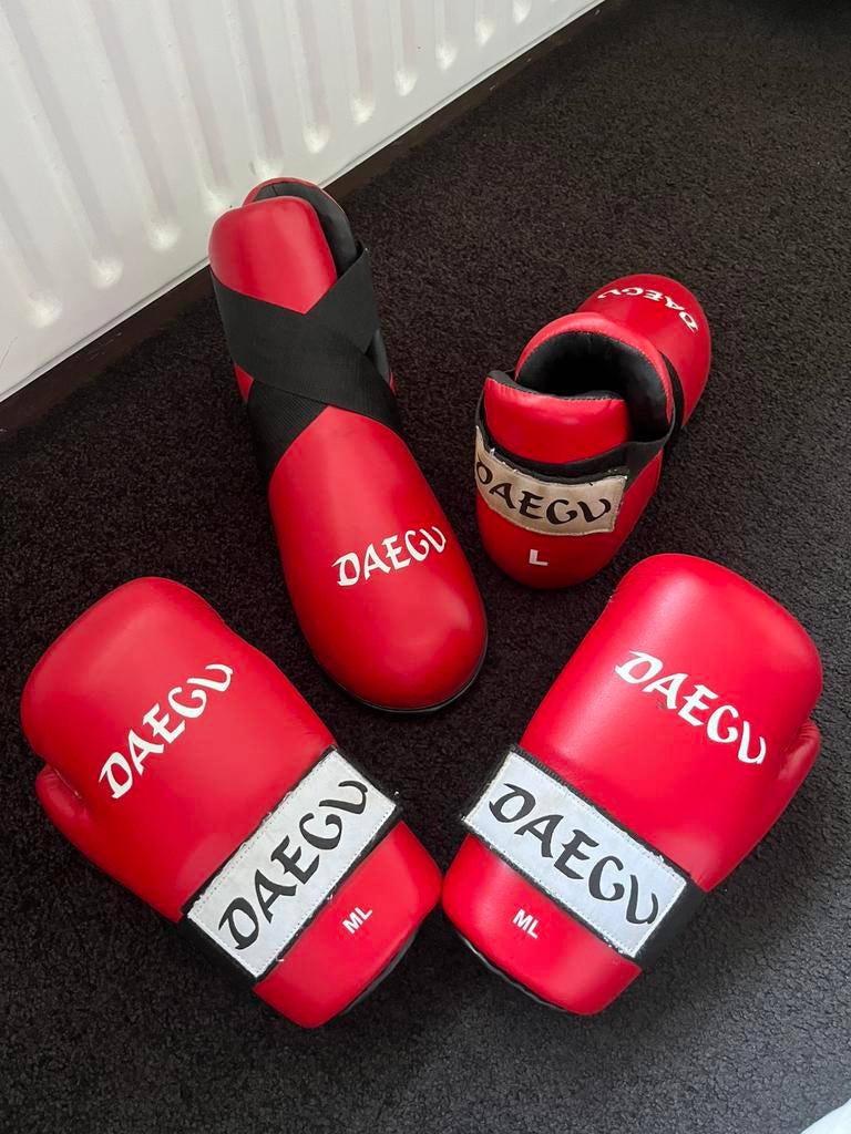 Taekwondo bescherming, Ophalen, Taekwondo, Vechtsportbescherming, Maat L