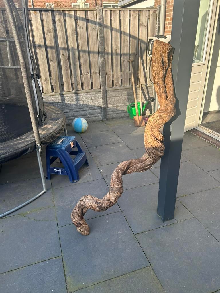 Groot stuk hout, Ophalen