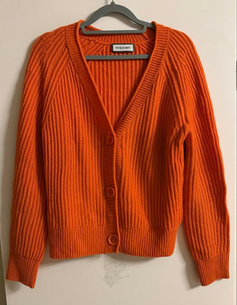 INSIEME vest oranje met kasjmier en wol maat 36, Ophalen of Verzenden, Zo goed als nieuw, Maat 36 (S), Oranje
