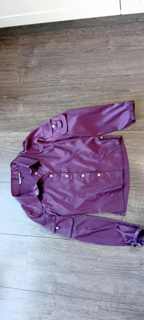 Blouse, L, Kleding | Dames, Ophalen of Verzenden, Zo goed als nieuw, Maat 42/44 (L), Paars