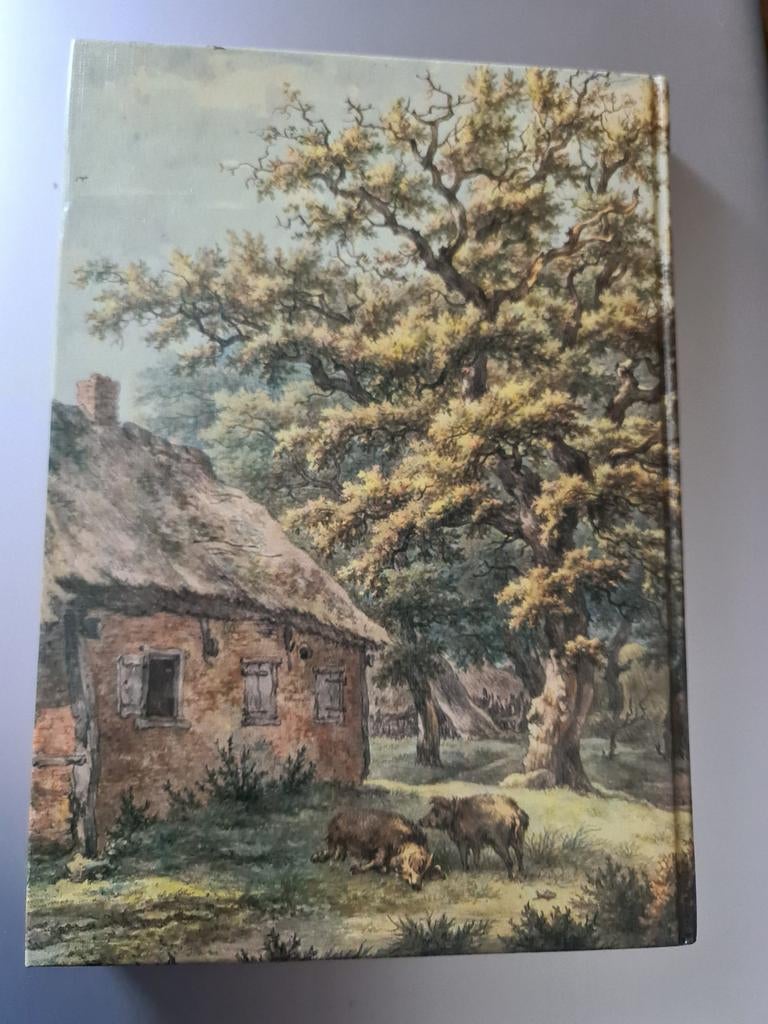 De Drentsche Patrijshond, Ophalen of Verzenden, Honden