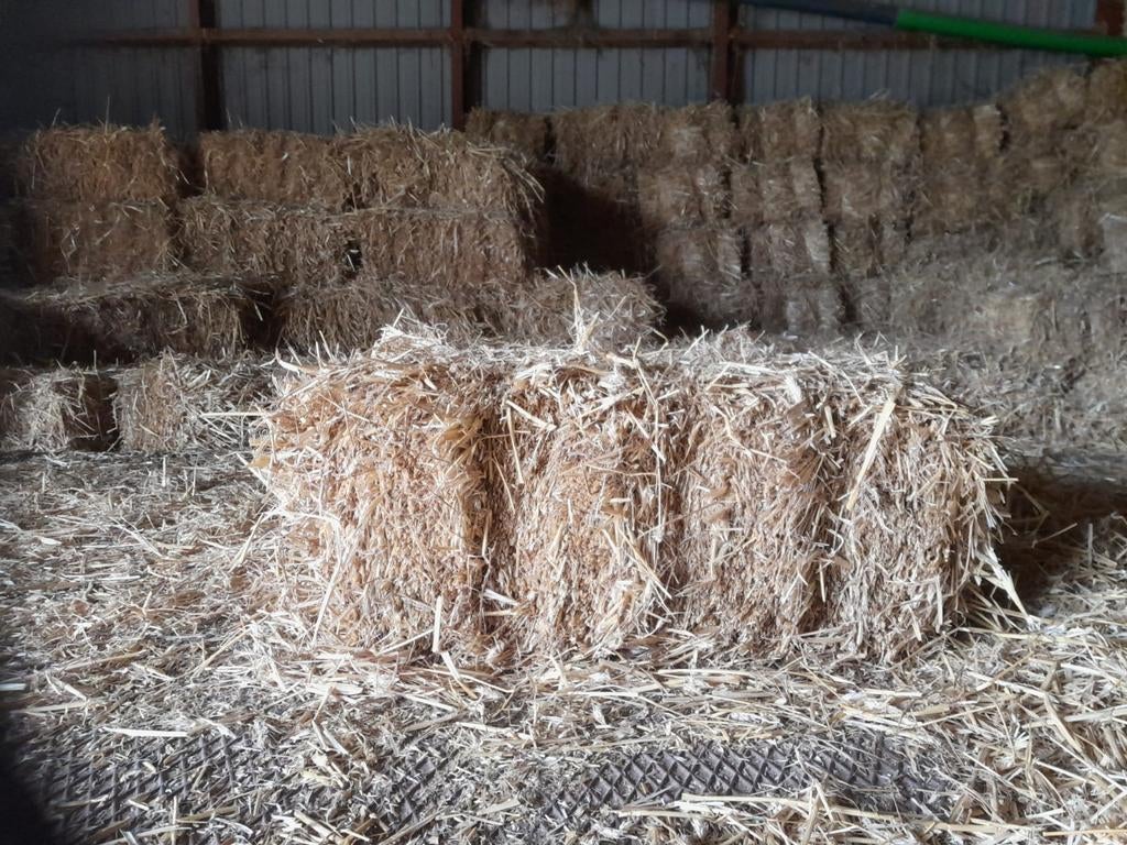 Kleine balen stro te koop, Dieren en Toebehoren, Ophalen, Vee