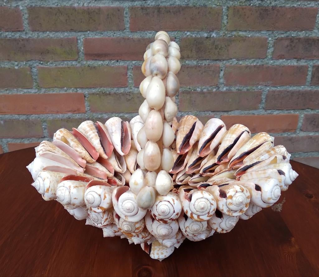 Schelpen mand/schaal, Ophalen of Verzenden, Nieuw, Overige materialen