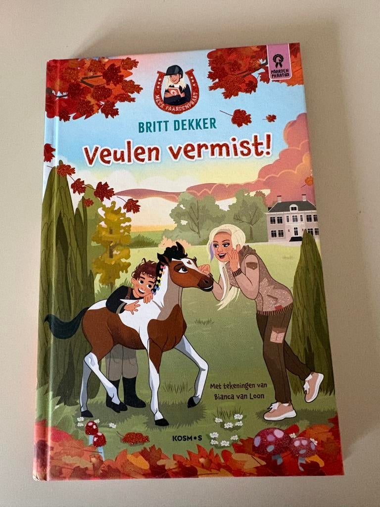 Paardenboeken: Britt Dekker, Heartland - Samen voor €10,-, Ophalen of Verzenden, Gelezen, Fictie algemeen
