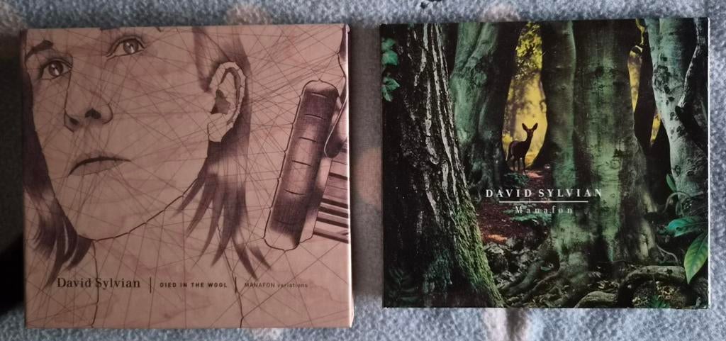 David Sylvian - Manafon & Died in the Wool, Cd's en Dvd's, Ophalen of Verzenden, Zo goed als nieuw, Boxset