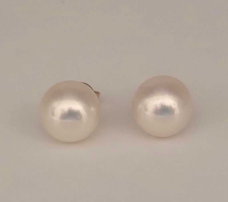 Parel Oorbellen met Natuurlijke Parels en 14K Goud, Wit, Nieuw, Ophalen of Verzenden, Knopjes of Stekers