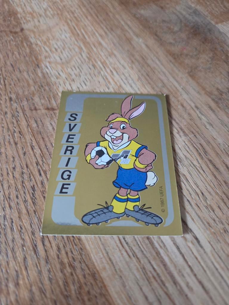 Panini EK 92, Ophalen of Verzenden, Zo goed als nieuw, Buitenlandse clubs, Poster, Plaatje of Sticker