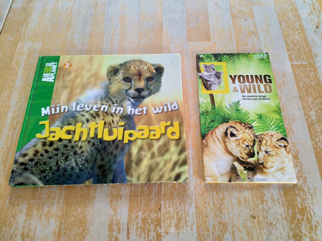 DVD young & wild en boek over jachtluipaard, Alle leeftijden, Ophalen of Verzenden, Zo goed als nieuw, Natuur