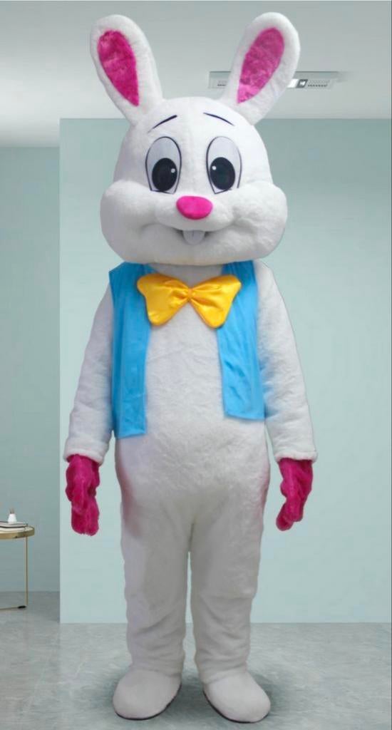 Paashaas pak, Ophalen of Verzenden, Gebruikt, 170 of groter, Jongen of Meisje