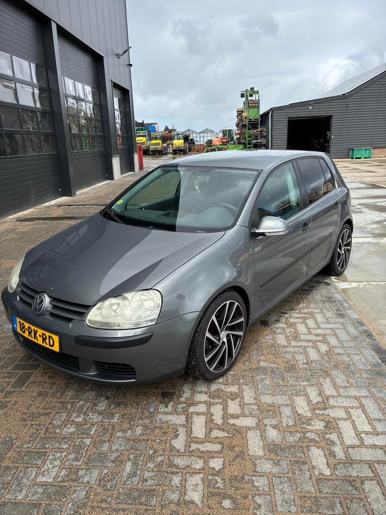 Volkswagen Golf 1.4 FSI 66KW 5D 2005 Grijs, Voorwielaandrijving, 4 cilinders, 620 kg, Handgeschakeld