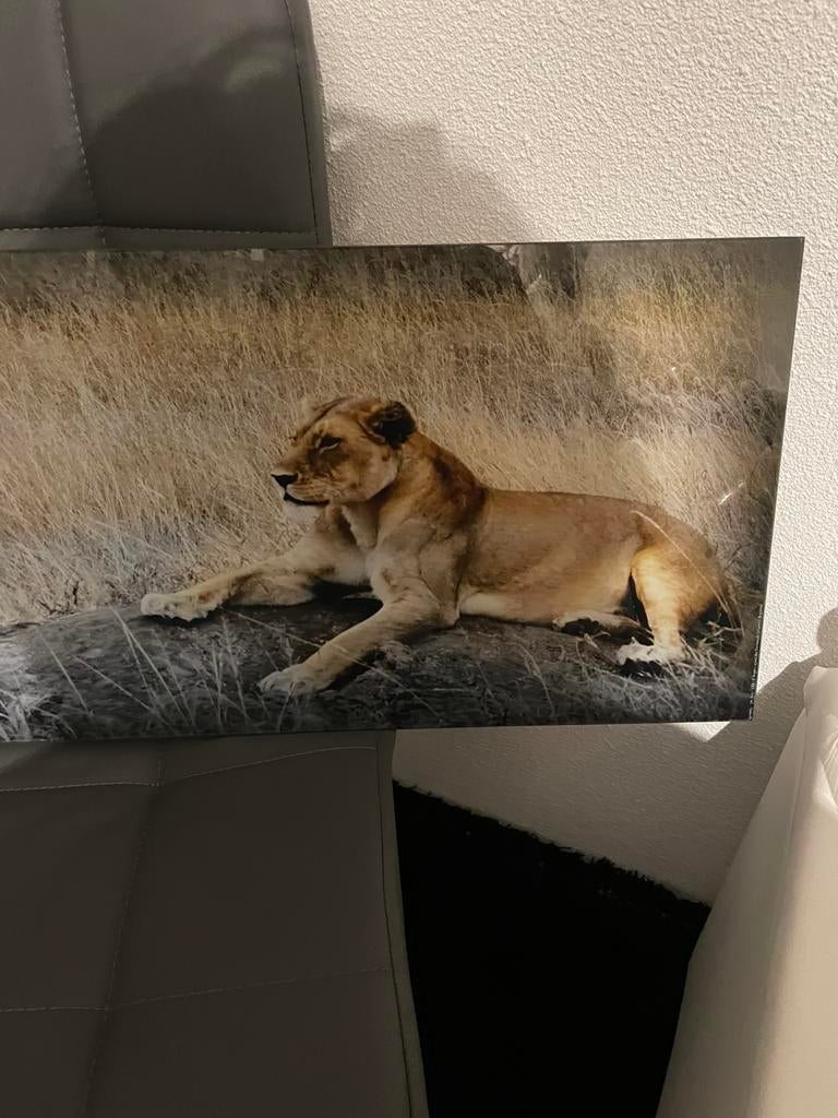 Mooi glas schilderij, Ophalen of Verzenden, Zo goed als nieuw, Schilderij, 75 cm of meer
