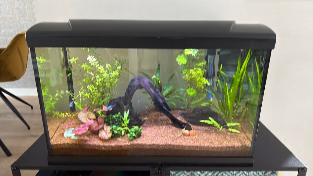 Aquarium compleet, Dieren en Toebehoren, Vissen | Aquaria en Toebehoren, Ophalen, Zo goed als nieuw, Gevuld zoetwateraquarium
