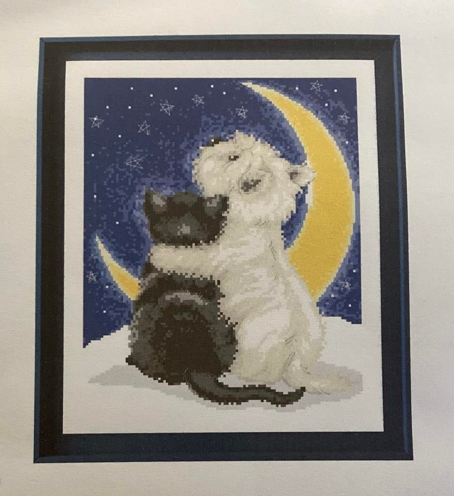 Compleet borduurpakket NIEUW, Ophalen of Verzenden, Nieuw, Borduurpakket