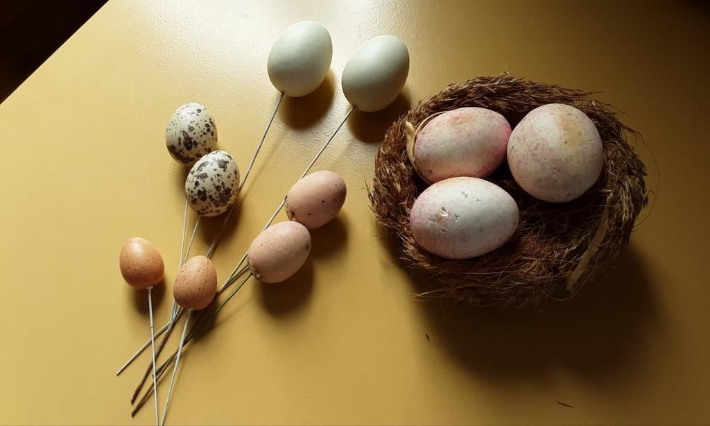 Eieren naturel prikkers, paasstukje.  Nestje met 3 eieren, Ophalen of Verzenden, Zo goed als nieuw