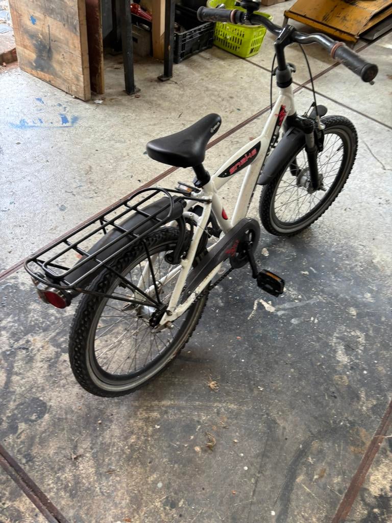 Kinderfiest batavus snake 20 inch, Ophalen of Verzenden, Gebruikt, 1 kind