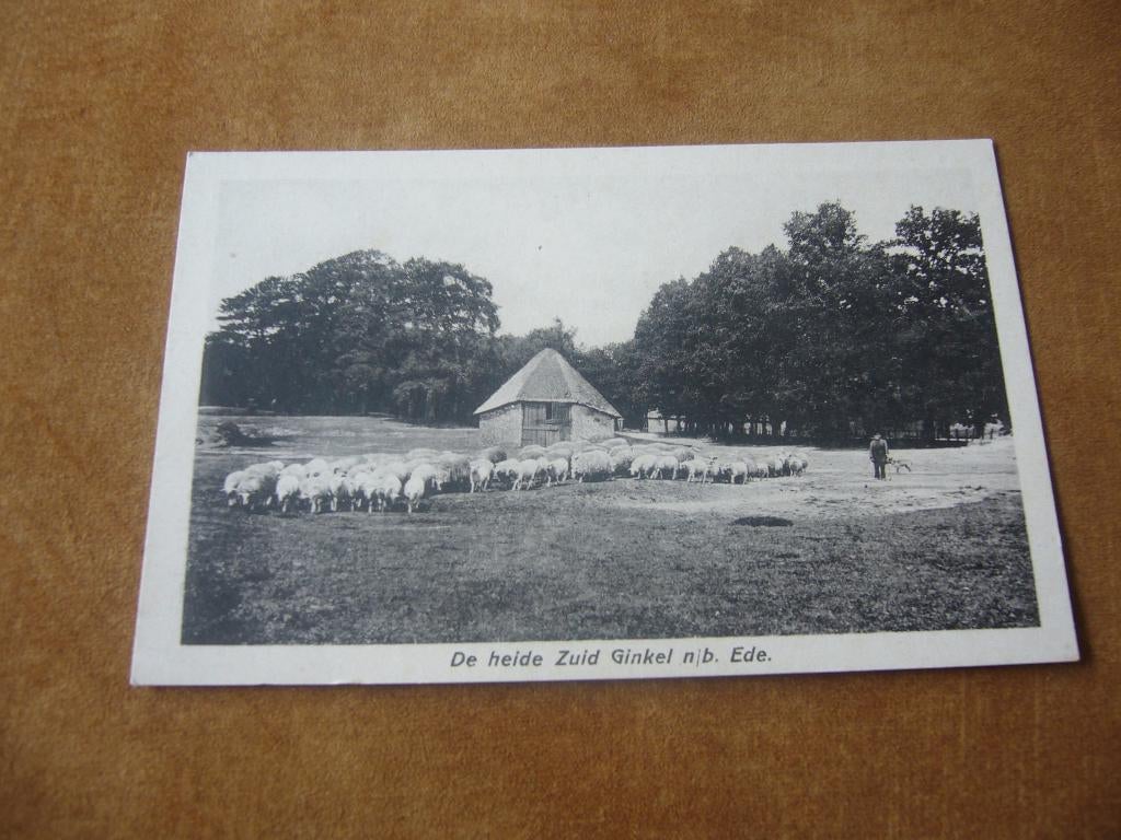 EDE  =  DE HEIDE ZUID GINKEL, Ophalen of Verzenden, 1940 tot 1960, Ongelopen, Gelderland
