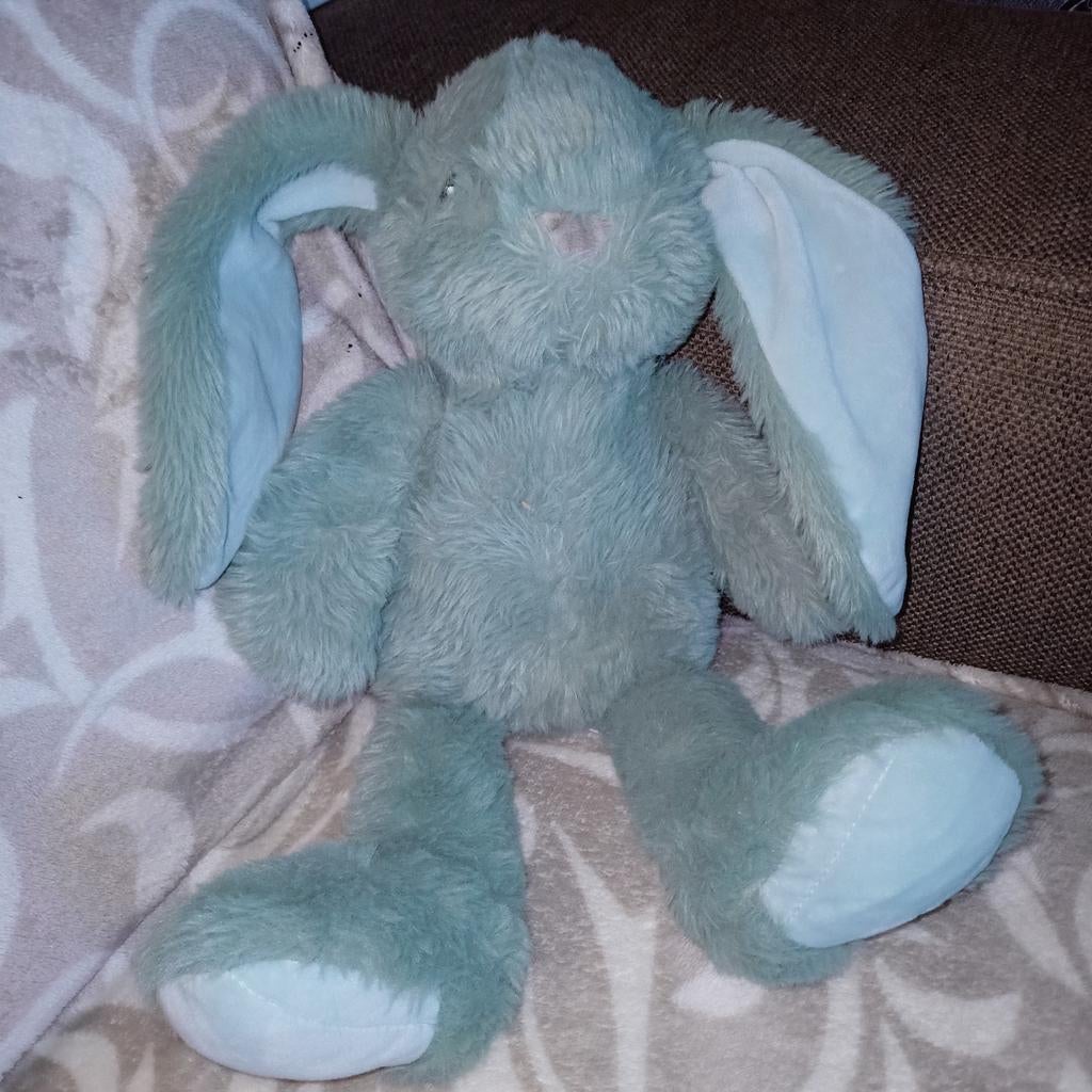 Action groen konijn., Kinderen en Baby's, Speelgoed | Knuffels en Pluche, Ophalen of Verzenden, Zo goed als nieuw, Konijn, Middelgroot (20 tot 80 cm)