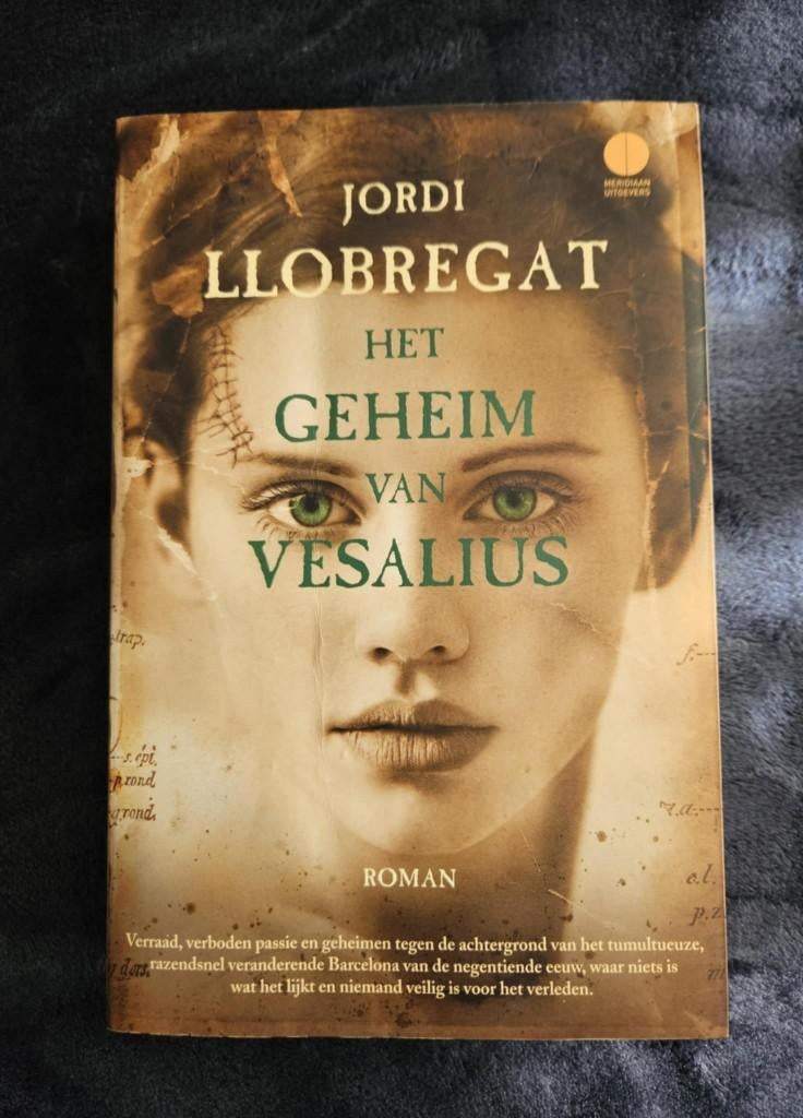 Jordi Llobregat - Het geheim van Vesalius, Ophalen of Verzenden, Gelezen, Jordi Llobregat