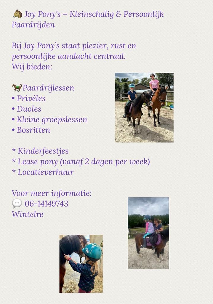 Ponykamp en paardrijles