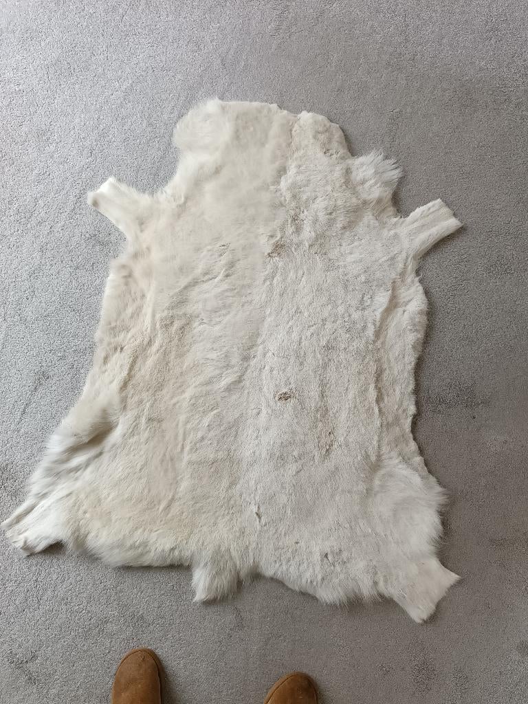 Rendierhuid, Gebruikt, 100 tot 150 cm, Rustiek, Crème