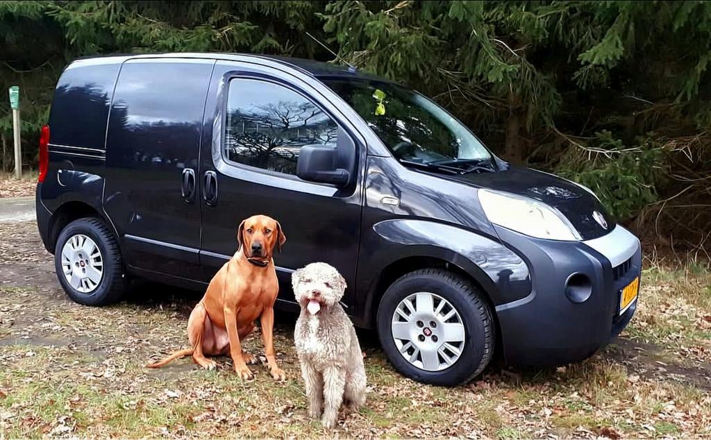 Fiat Fiorino 2010 met 2 vaste hondenkennels. Zwart, Auto's, Fiat, Stof, Zwart, Particulier, Radio