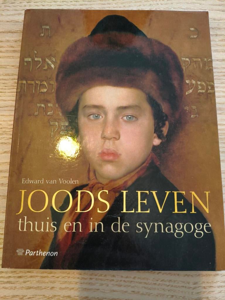 Edward van Voolen - Joods Leven, Jodendom, Ophalen of Verzenden, Zo goed als nieuw, Edward van Voolen