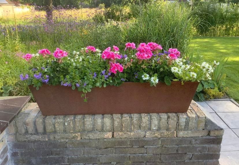 Prachtige Corten stalen bloembakken, Ophalen, 100 cm of meer, Ottos-lasschuur, Nieuw