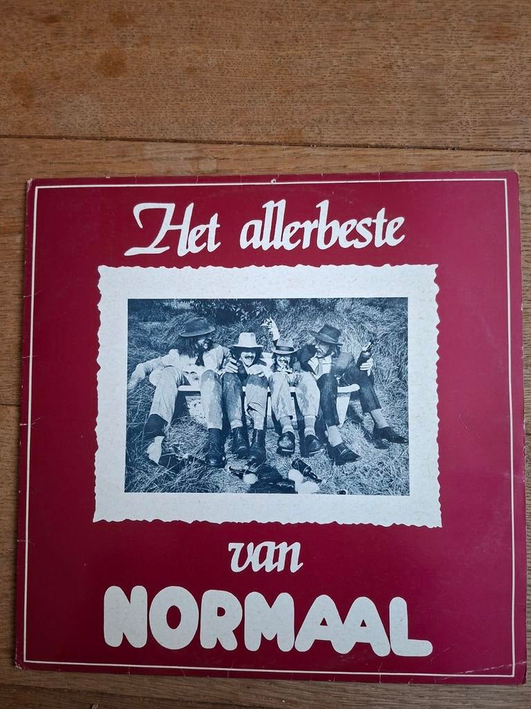 Normaal - Het Allerbeste Vinyl LP, Ophalen of Verzenden, Gebruikt, 12 inch