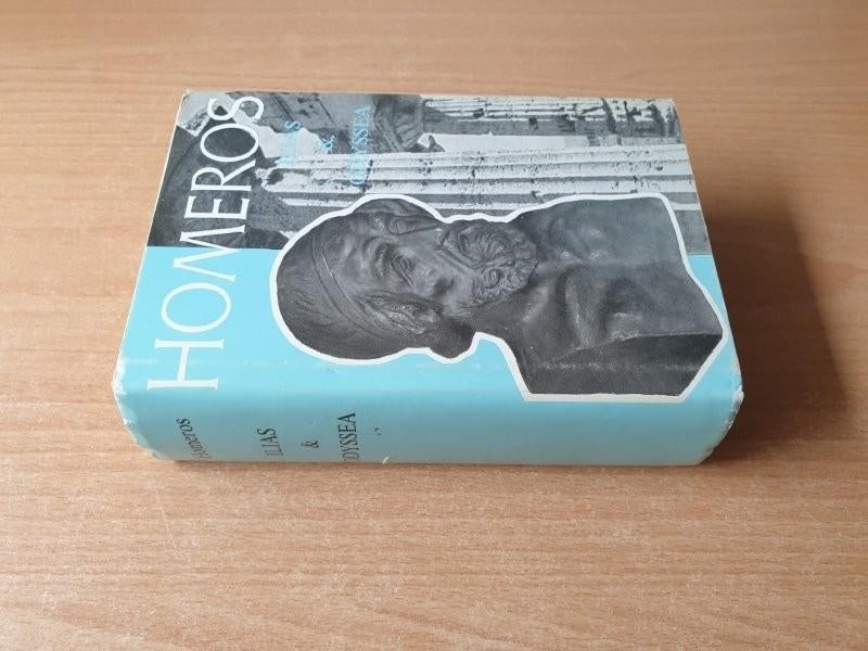 Homeros - ilias & Odyssea (Ned, HC + omslag), Boeken, Fantasy, Gelezen, Ophalen of Verzenden