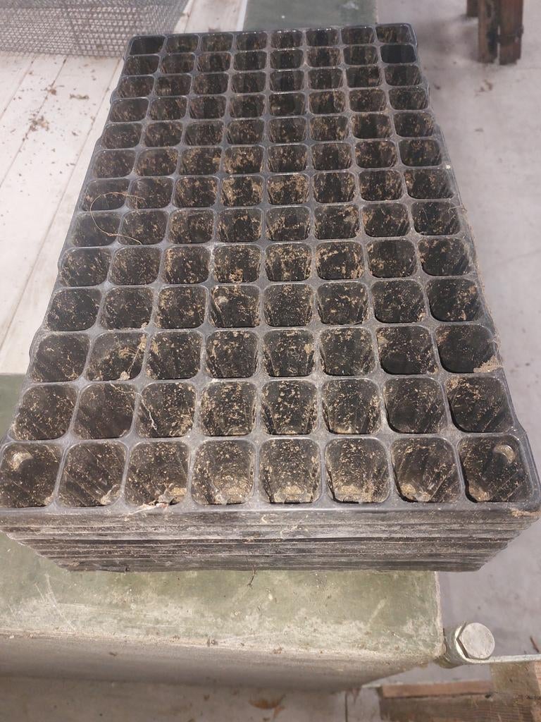 Zaaitrays gebruikt 104 gats, Tuin en Terras, Ophalen, Gebruikt, Minder dan 10 meter